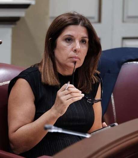 Carmen Hernández, en una imagen de archivo, en el Parlamento canario/TA.